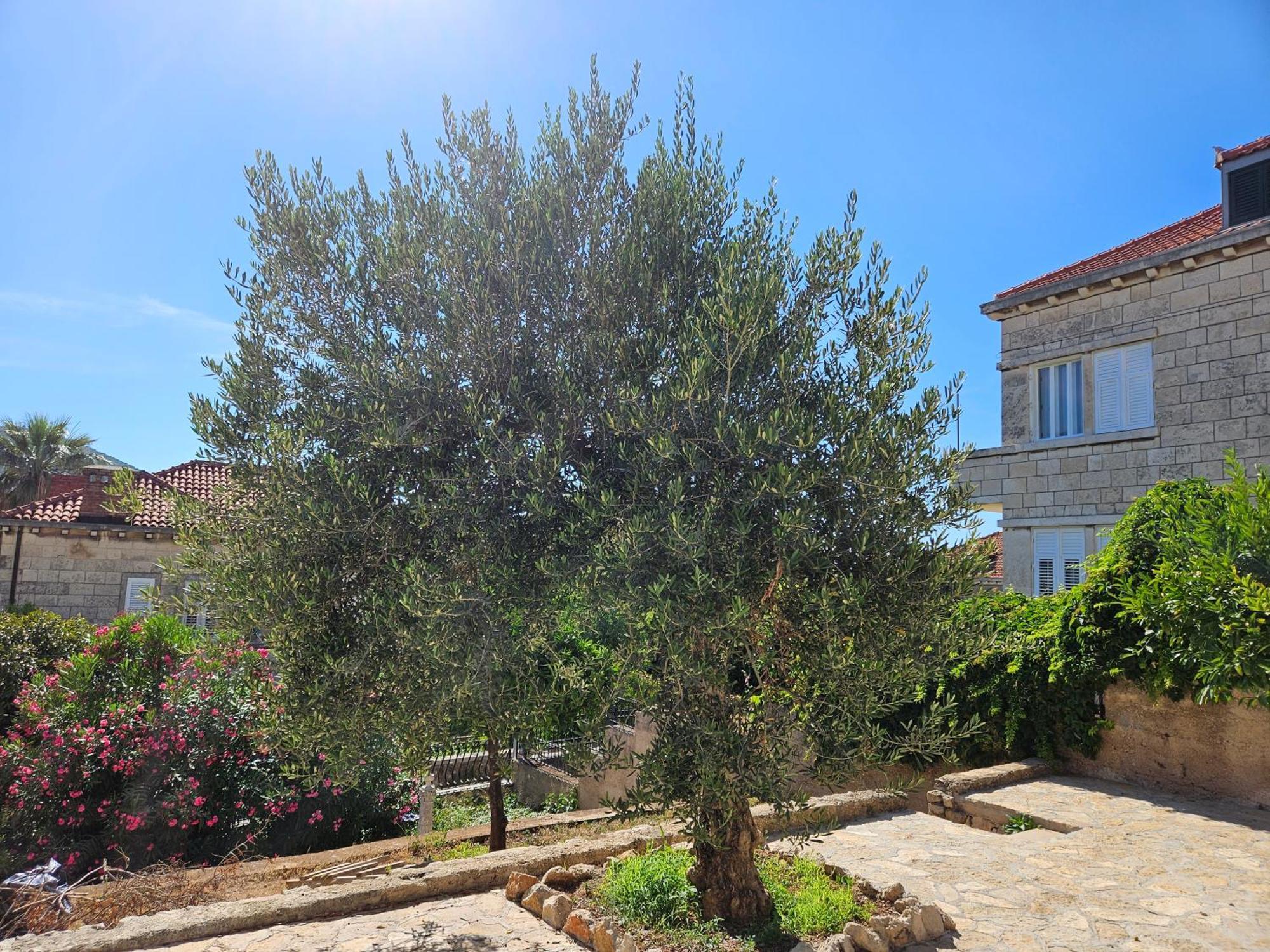 Appartement Gruz Hideaway *