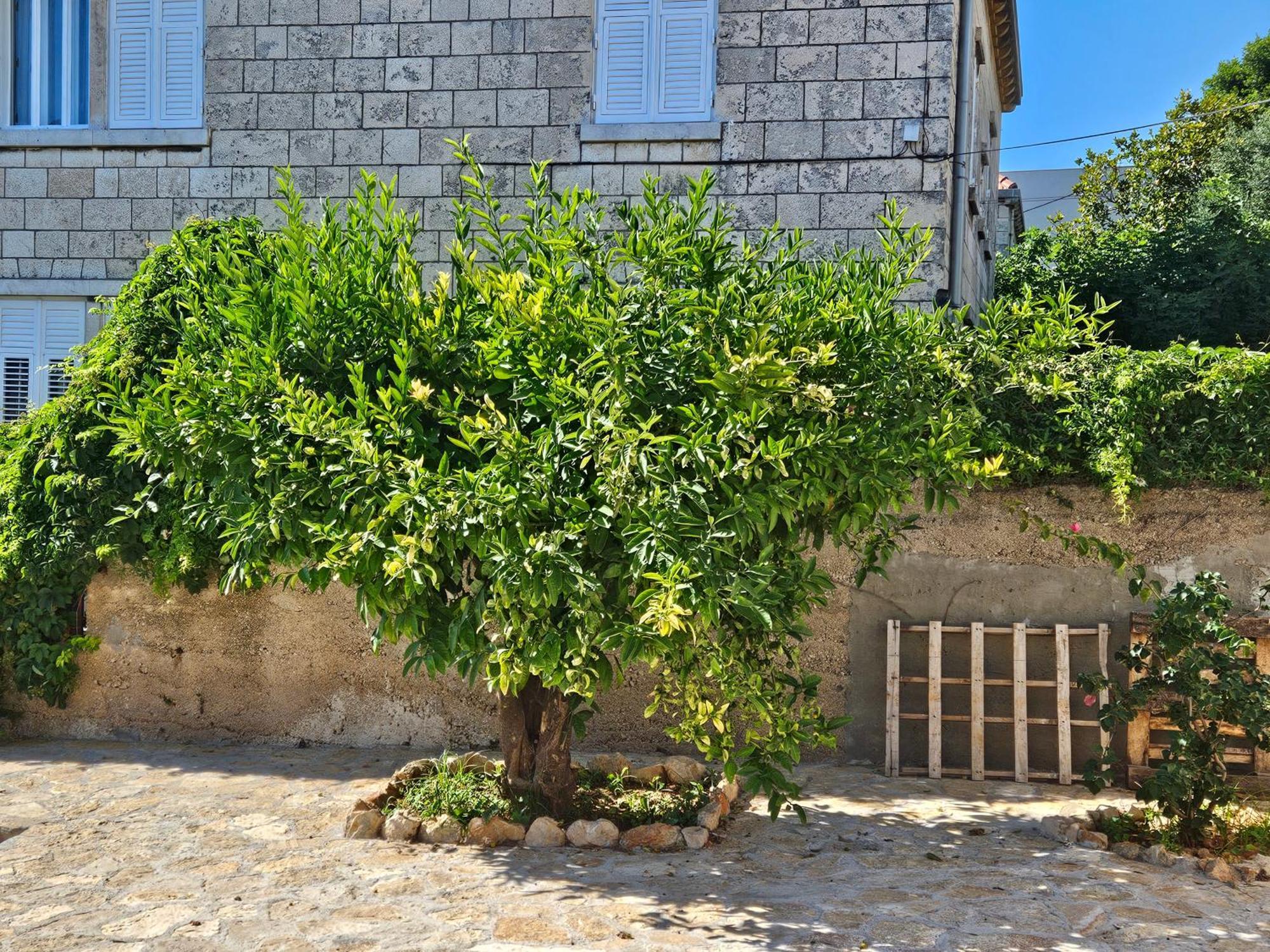 Appartement Gruz Hideaway