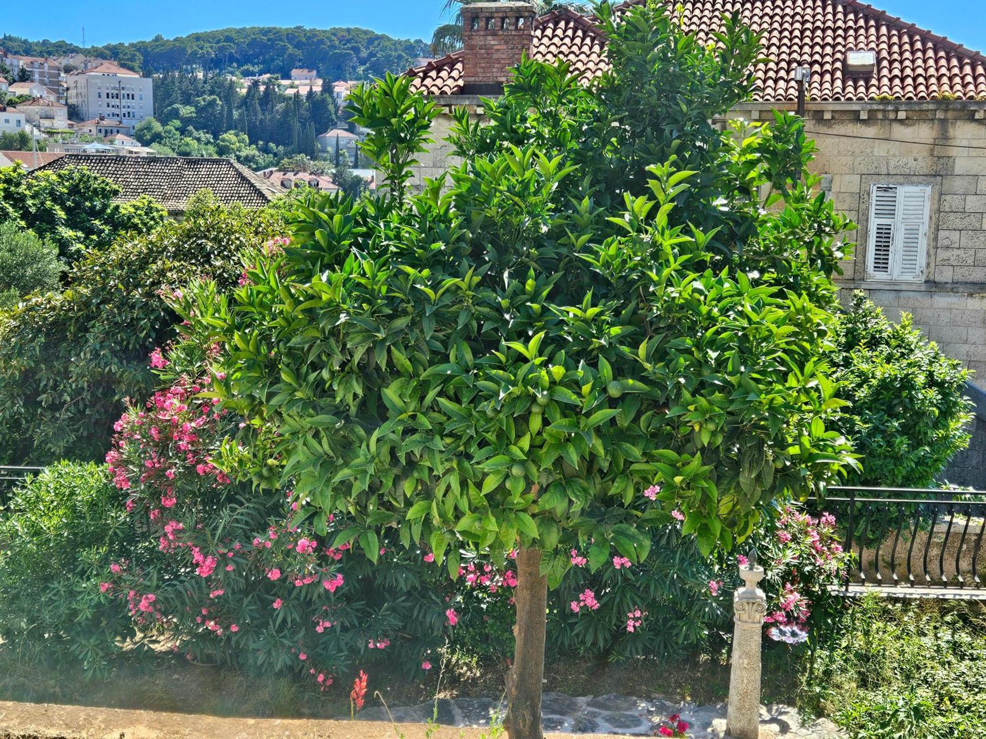Appartement Gruz Hideaway *